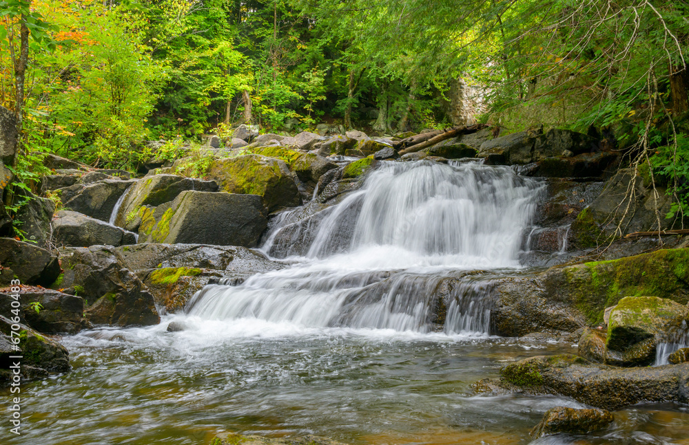 Fototapeta premium A waterfall in the forest