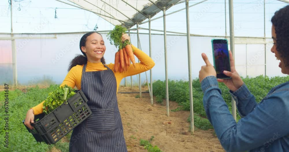 Behind the scenes over the shoulder shot of farmer filming social media sell veg Behind the scenes over the shoulder shot of farmer filming social media sell veg