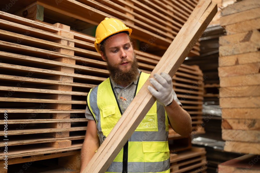 Caucasian business or craft man checking and holding timber with stock timber and pallet wood background at wood factory Caucasian business or craft man checking and holding timber with stock timber and pallet wood background at wood factory