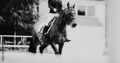 The black and white photo captures a horse and its rider compete in a dressage event. The equestrian sports, the grace of horsemanship, and the pursuit of skill in the world of competitive riding. ©  Valeri Vatel