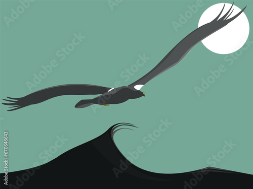 steller sea eagle bird vector illustration flat style