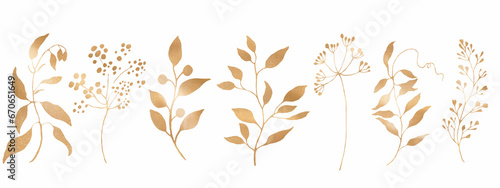  Floral golden set. Hand painted illustration isolated on white background © Alla