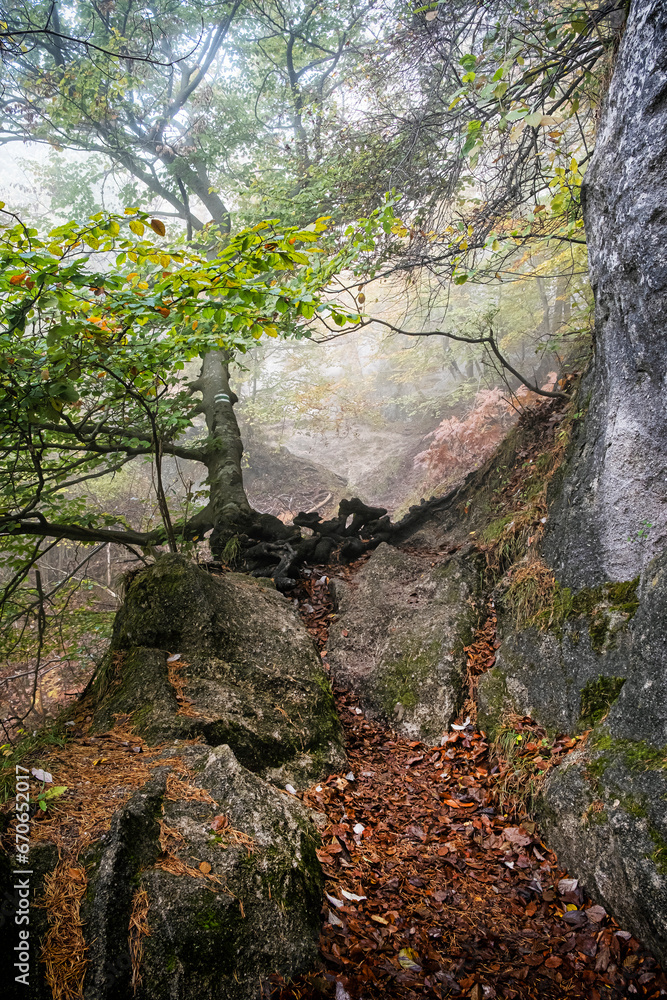 Fototapeta premium Seasonal natural scene, Sulov rocks, Slovakia