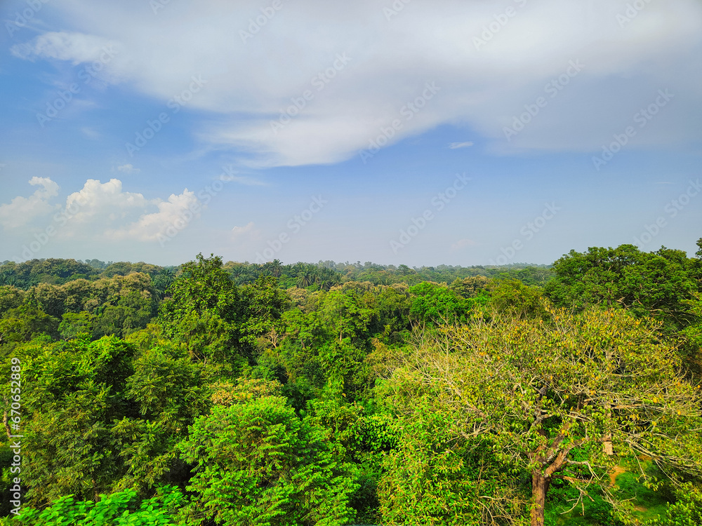 Sky with clouds over the green forest , view from a watch tower, location: Satchari National Park, Bangladesh 