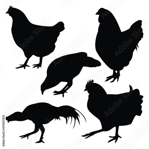 Vector farm animal chicken silhouettes vector illustration