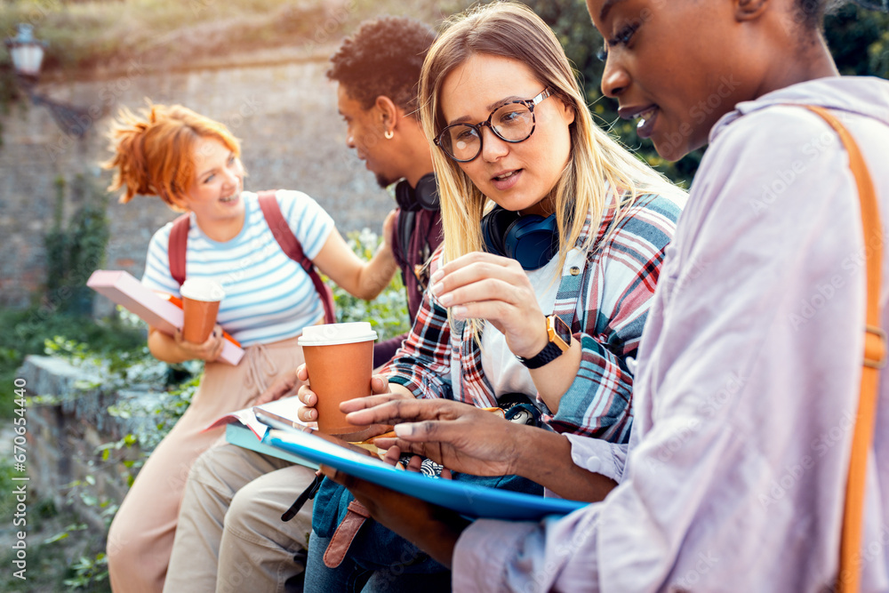 Obraz premium Diverse group of students sitting outdoor takling and learning together.