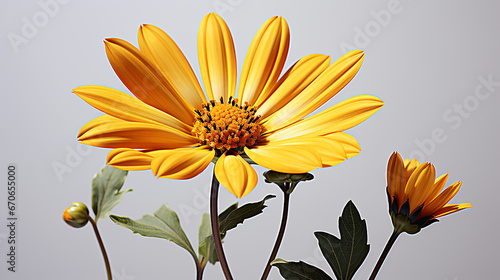 3d rendered photo of sun flower with simple background made with generative AI