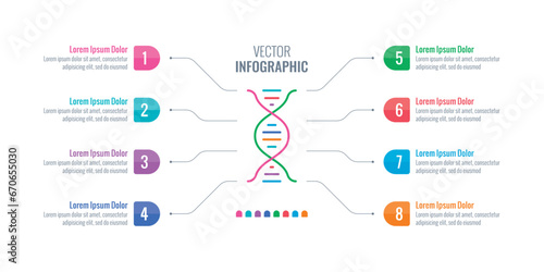 eight step infographic. dna symbol infographic template. scientific information design
