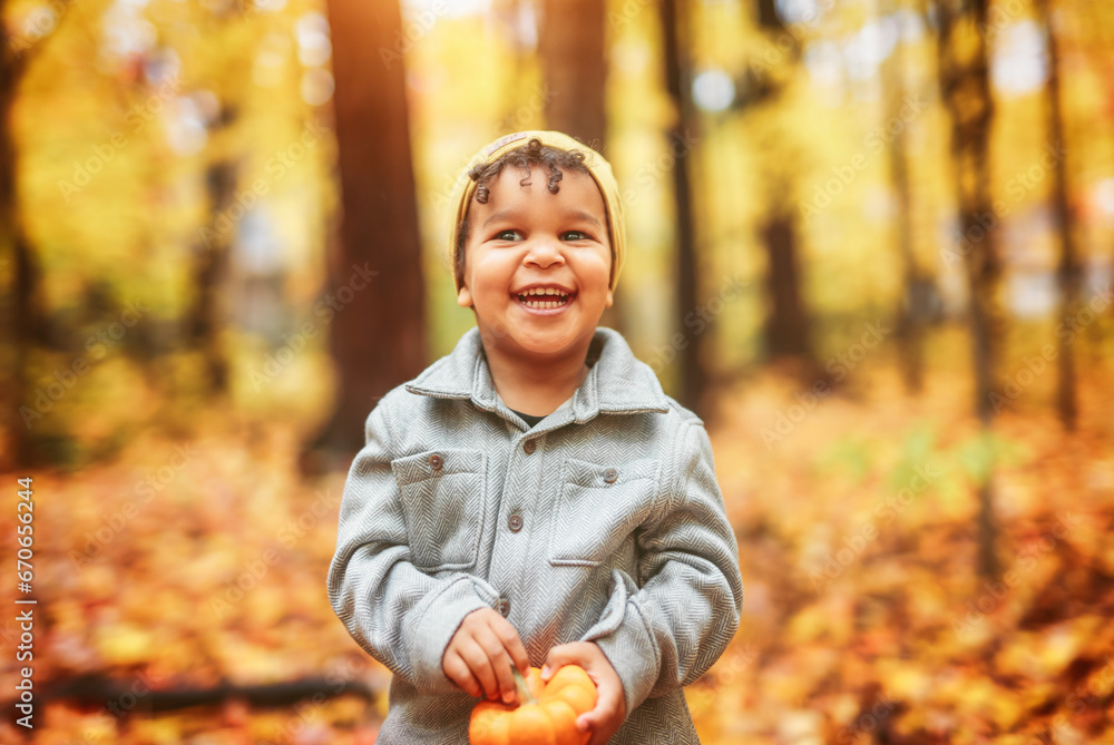 two year old little boy posing in autumn park two year old little boy posing in autumn park