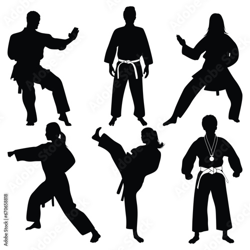 Martial Art or karate Silhouettes Vector illustration