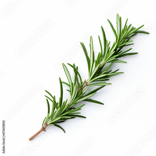 Rosemary plant on white isolated background - ai generative