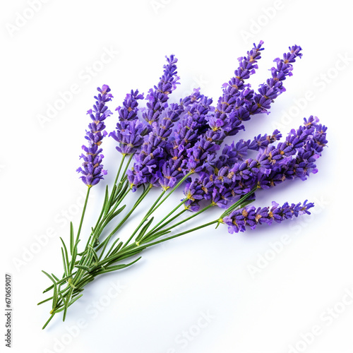 Lavender bouquet on white isolated background - ai generative