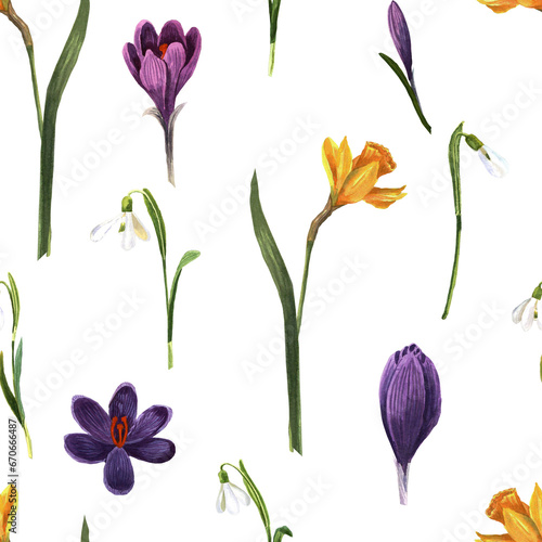 Seamless pattern of spring flowers hand drawn in watercolor. Floral elements on a white background for creating postcards  patterns and packaging