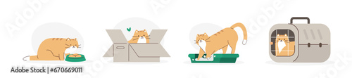 Cute domestic cat sitting in a carrier bag, eating food, using litter box. Adorable feline animal daily activity and behavior set. Pet care concept. Flat vector illustration.