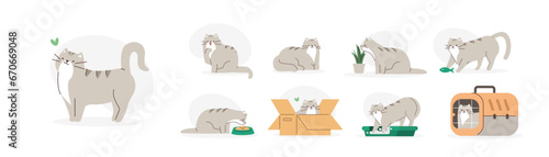 Cute domestic cat daily activity, behavior and poses mega set. Adorable feline animal eating, using litter box, sleeping and playing. Pet care concept. Flat vector illustration.