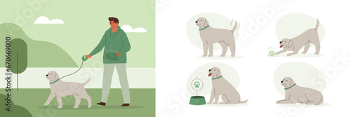 Man walking with dog outside. Cute retriever daily activity, different emotions and behavior set. Puppy chasing a ball, lying, asking for food. Pet care concept. Flat vector illustration.
