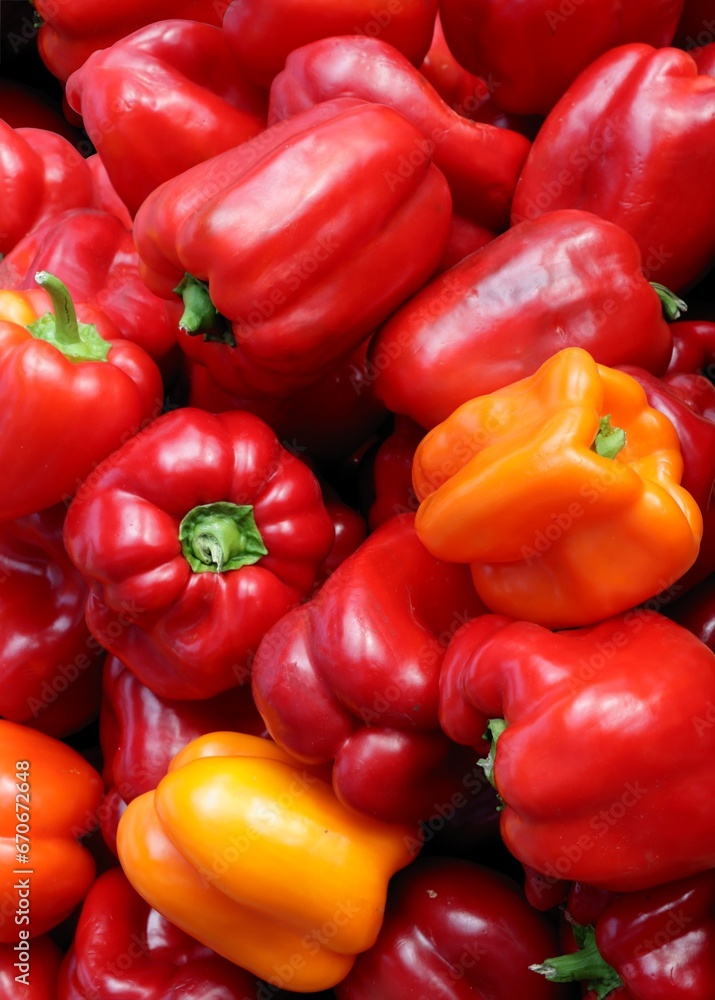 red and colorful fruits of pepper vegetable red and colorful fruits of pepper vegetable