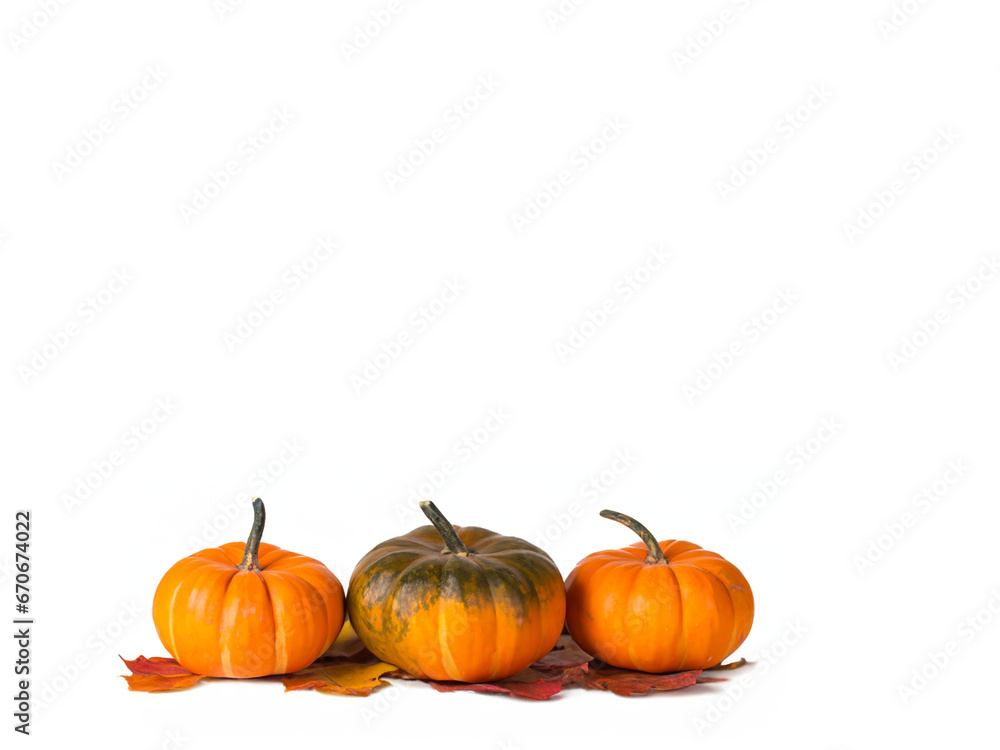 Orange pumpkin on white background empty space for text. AI ilustration Orange pumpkin on white background empty space for text. AI ilustration
