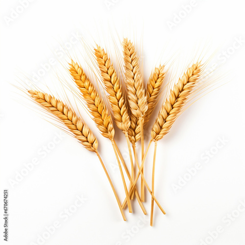 Wheat grains on white isolated background - ai generative