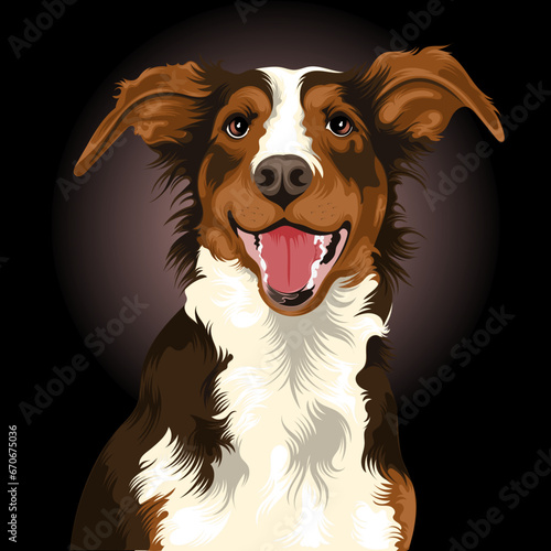 Portrait of an Australian Shepherd Dog art vector illustration