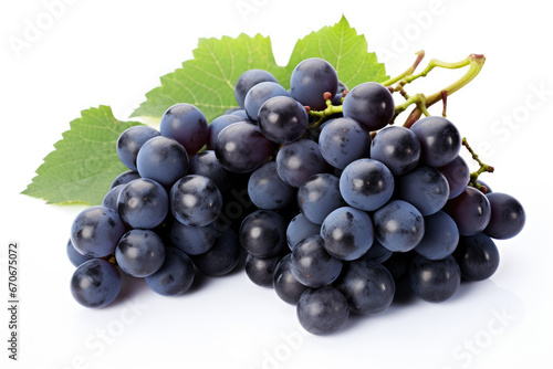 Bunch of dark blue grapes on white