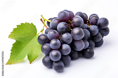 Bunch of dark blue grapes on white