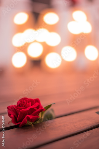 Close up of rose flower with light bokeh