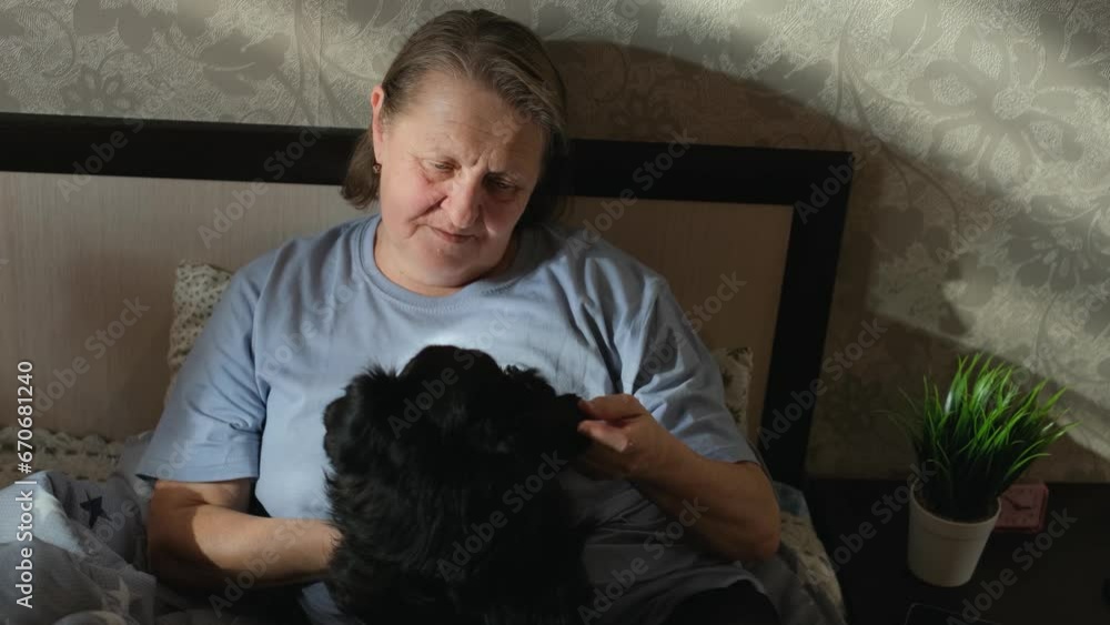 An elderly woman strokes and caresses her dog in bed An elderly woman strokes and caresses her dog in bed