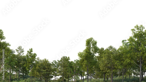Many kinds of forest foreground on transparent background