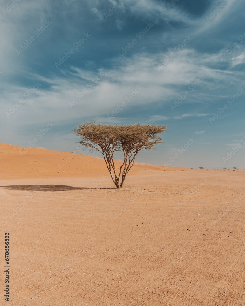 Wadi Shab Desert in Oman