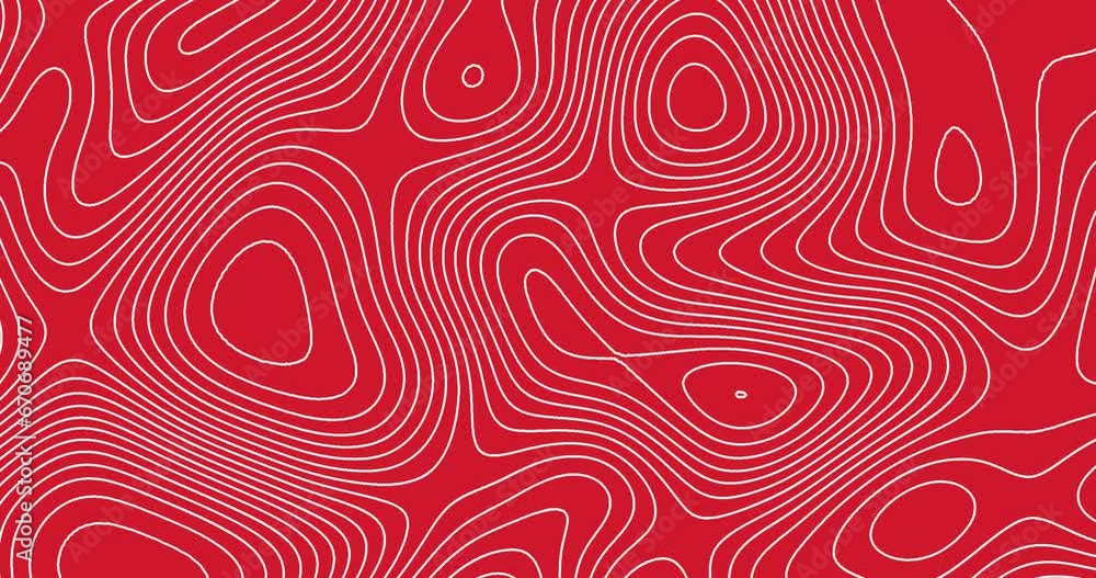 Moving white color thin curved wavy lines topology on a red color background. moving topographic map lines seamless looped animation.