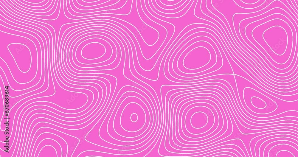 Moving white color thin curved wavy lines topology on a pink color background. moving topographic map lines seamless looped animation. Moving white color thin curved wavy lines topology on a pink color background. moving topographic map lines seamless looped animation.