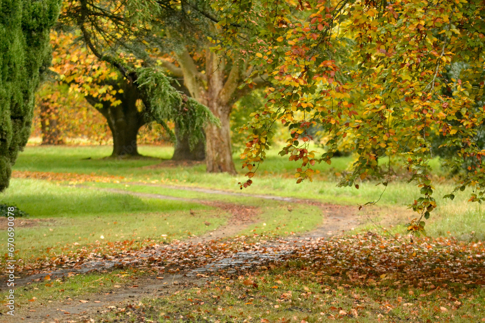 paisaje de otoño en parque de árboles paisaje de otoño en parque de árboles