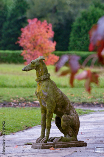 escultura de perro galgo en otoño photo