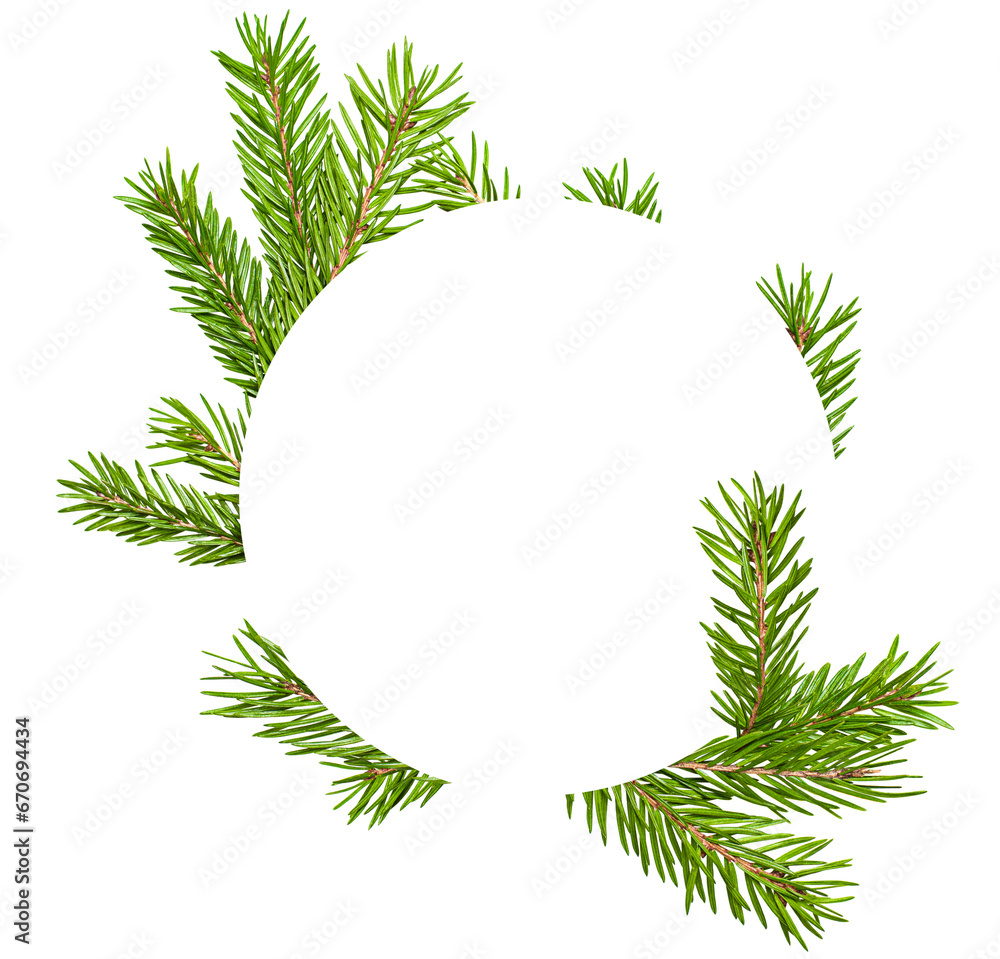 composition of fir branches in the shape of a circle with copy space in the center, isolated on a white background