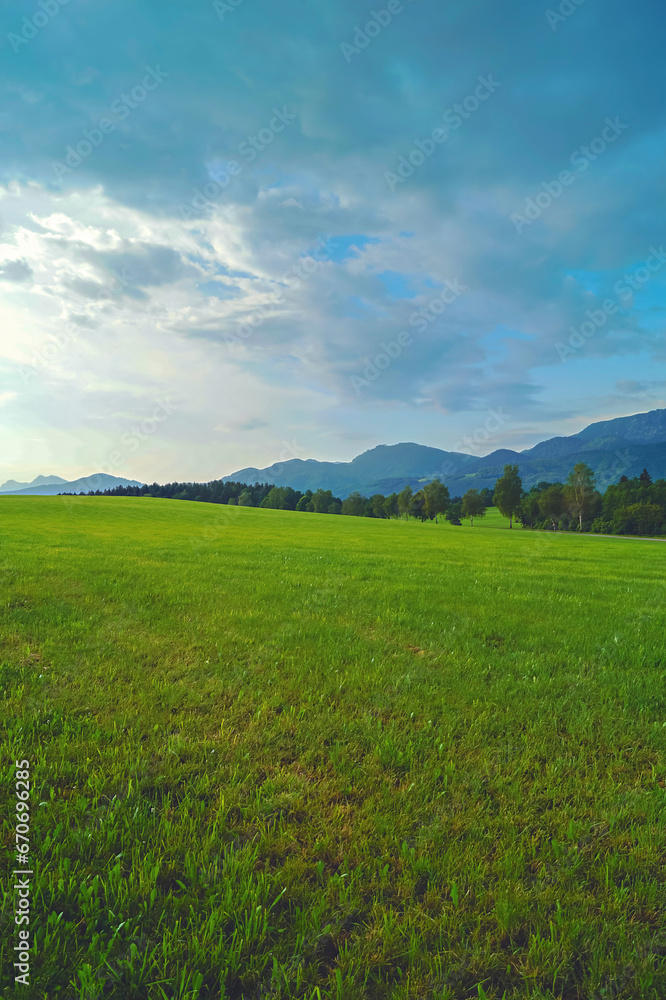 Tranquil Green Meadow near the Alps against the backdrop of unusually beautiful clouds in a Sunny Day