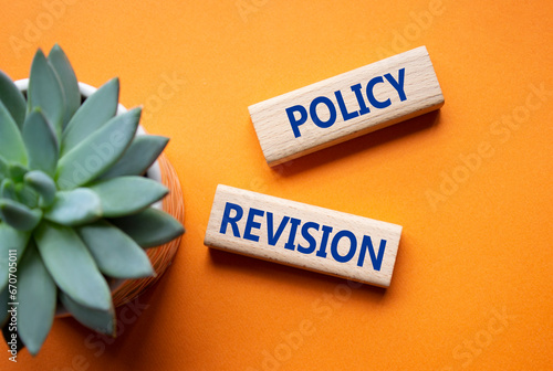 Policy revision symbol. Concept word Policy revision on wooden blocks. Beautiful orange background with succulent plant. Business and Policy revision concept. Copy space