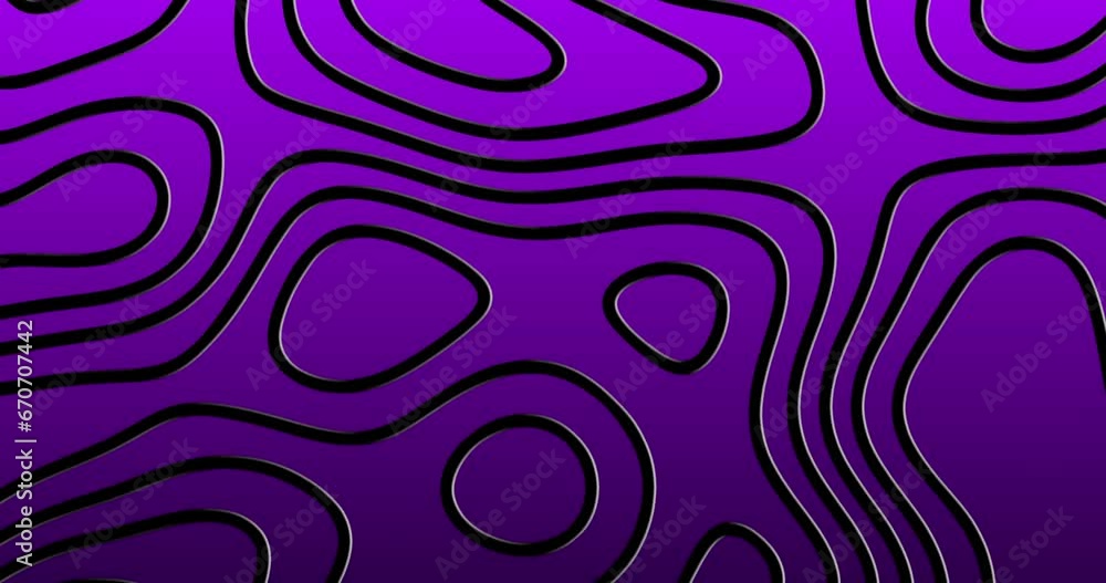 Thick curved wavy lines topology on a gradient purple color background. moving topographic map lines seamless looped animation. Thick curved wavy lines topology on a gradient purple color background. moving topographic map lines seamless looped animation.