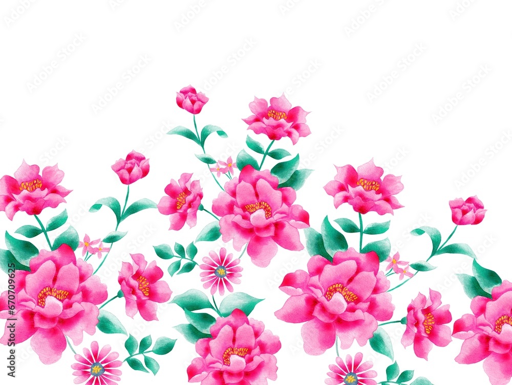 Watercolor flowers, tropical pink elements, white background