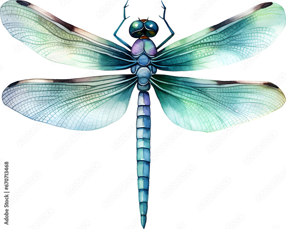 Dragonfly Watercolor Clipart - obrazy, fototapety, plakaty 