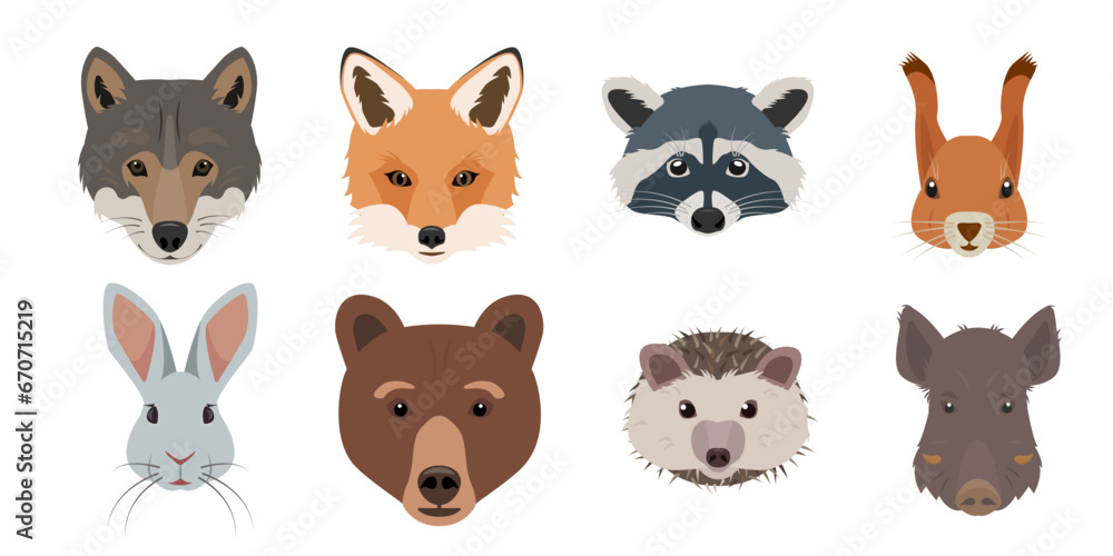 Cute Forest animals faces set. Wild woodland mammal animal head collection. Fox, wolf, hare and bear, Squirrel, boar, hedgehog and raccoon face. Vector illustration isolated on white background. - obrazy, fototapety, plakaty 