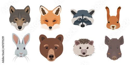 Cute Forest animals faces set. Wild woodland mammal animal head collection. Fox, wolf, hare and bear, Squirrel, boar, hedgehog and raccoon face. Vector illustration isolated on white background. photo