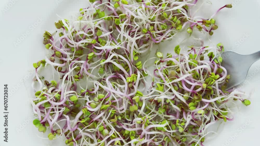 Microgreens mixed in a dish on a light background, salad with microgreens. Sprouts. Organic vegetables. Mix of food sprouts - alfalfa, radish, clover in a bowl. Micro greens on white. Healthy eating. Microgreens mixed in a dish on a light background, salad with microgreens. Sprouts. Organic vegetables. Mix of food sprouts - alfalfa, radish, clover in a bowl. Micro greens on white. Healthy eating.