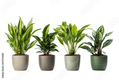 Office Pot Plants for Serenity isolated on transparent background  Generative Ai