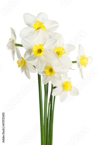 White narcissus bouquet