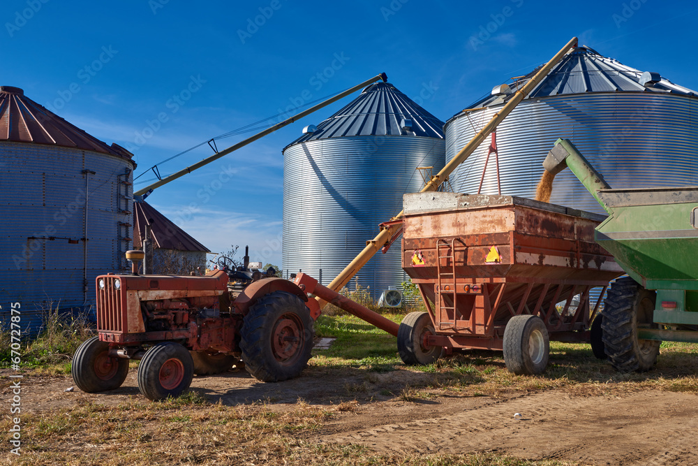 Fototapeta premium Soy bean harvest is being moved to grain silos to be sold later.
