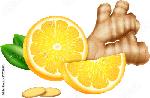 Fresh lemon and ginger root isolated on white background. Vector illustration.