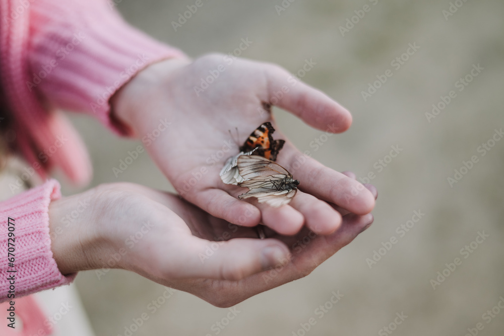 Butterflies in the hands