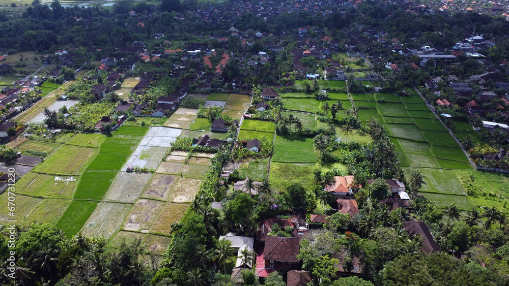 Bali village and rice fileds