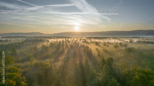 Sunrise over the Hardtwald forest near Bruchhausen on a foggy autumn morning
